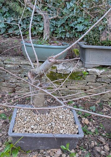 PXL_20260220_161745284.MP