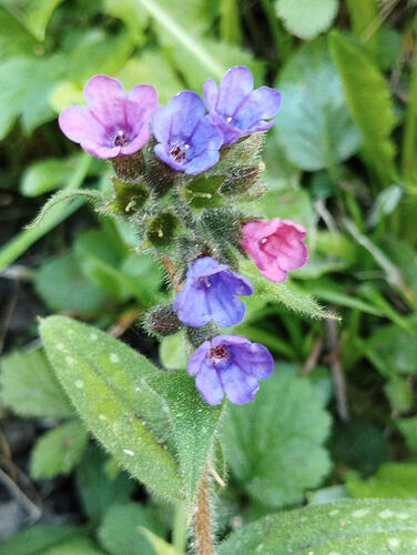 d20a2744-926d-4013-9474-31747ab302ae-1_all_40162