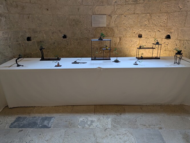 PXL_20250524_153317975.MP