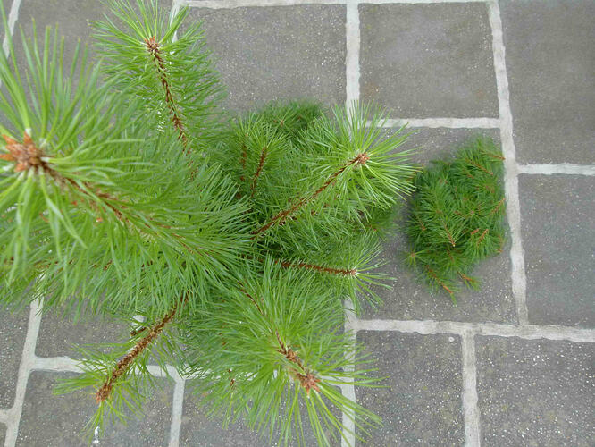 P1200105