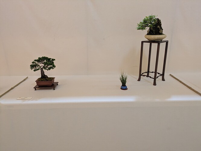 PXL_20250524_153200224