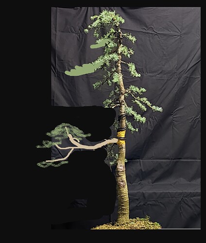 ___________DSCN01-1virt2