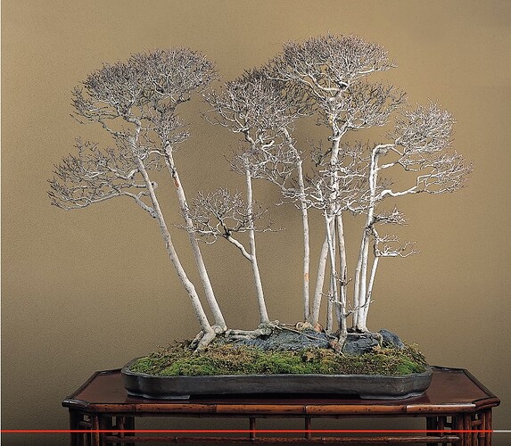 acer burger 2 (top20 Wabi Channel)