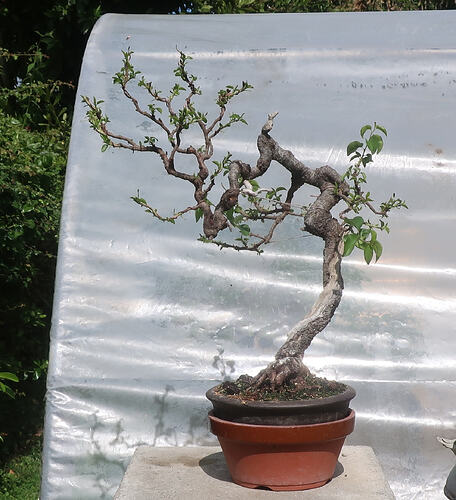 ste lucie 2026 06 02 (1)