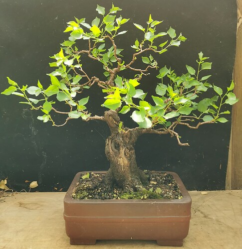 2025-06-22-15-26-44-769