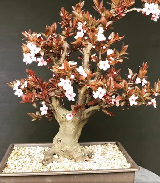 Capture d’écran 2025-11-10 à 18.49.15