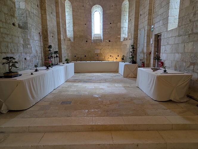 PXL_20250524_153250212