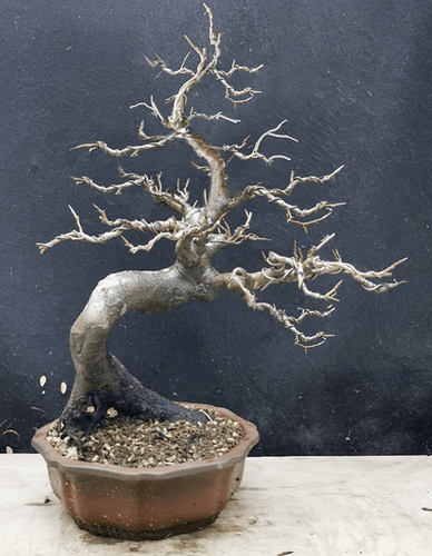 Capture d’écran 2025-12-08 à 17.38.58