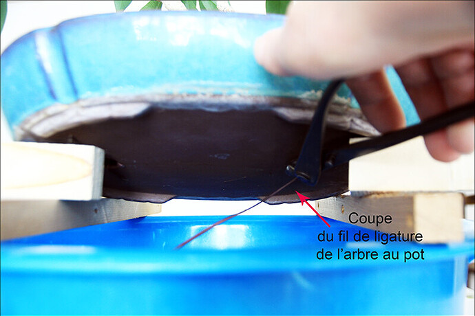 2026.04.22(8)copie1