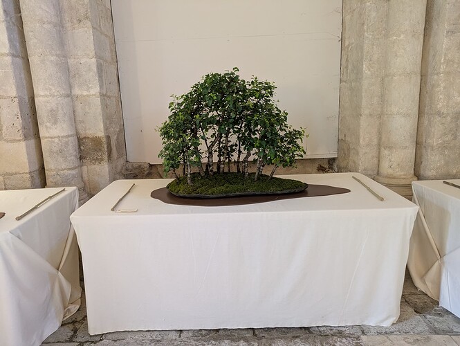 PXL_20250525_163935021