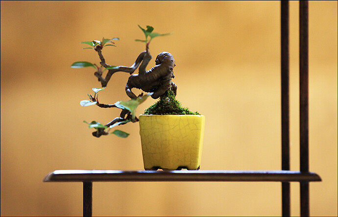 2025.05.25(32)copie1