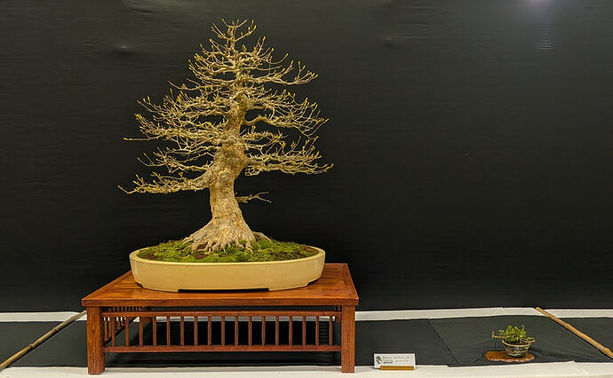 PXL_20260301_103425216