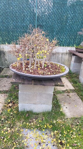 20251207_162821_resized
