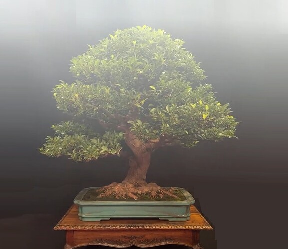 ___________DSCN01virt1-19virt