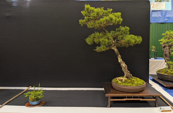 PXL_20260301_103945772