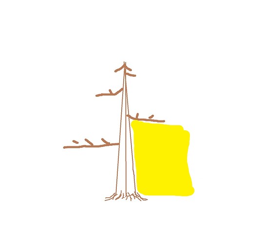 ___________DSCN01-1virt4