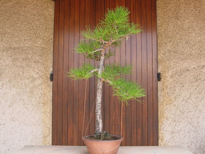 485083711_1154681709201461_520988138679540265_n