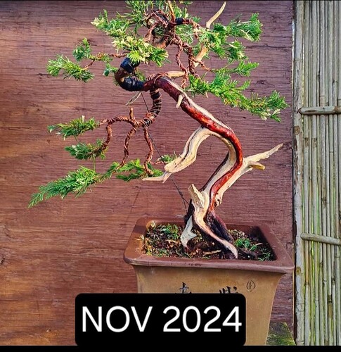1000011194