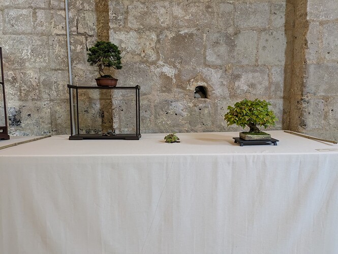 PXL_20250524_153413496