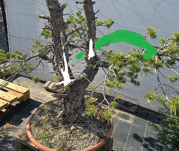 84f0fe6b8743ce39fec74a1cec92f5c35eed3039