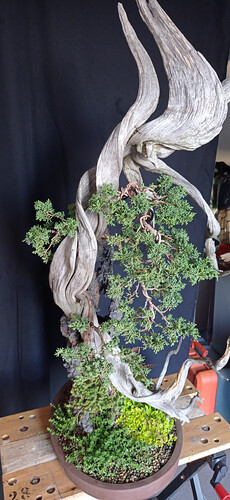 IMG_20260927_085135(1)