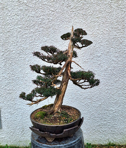 54aa63918c2c5afd5858e78b3e1a6028c21316e5