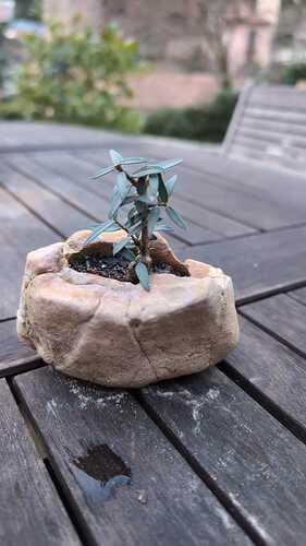 WhatsApp Image 2025-12-31 at 16.46.26