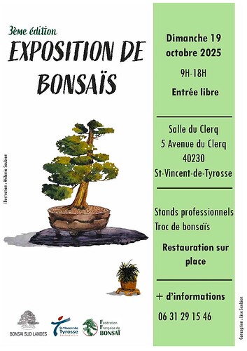 AFFICHE BONSAI 2025