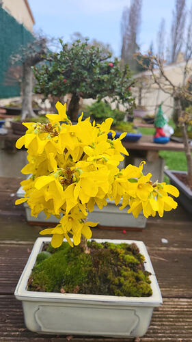 20260308_105848_resized