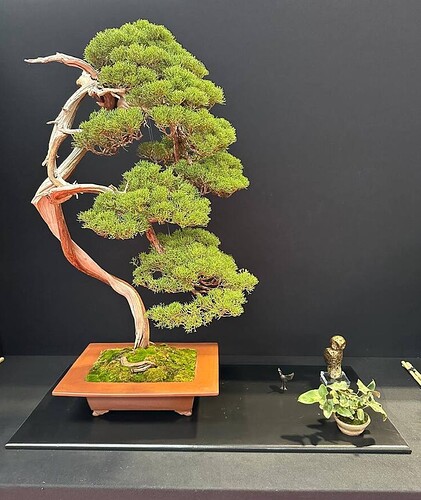 ___________DSCN01virt1-23