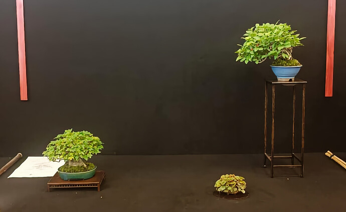 6 - Arbre - Jean-Michel Giuntini