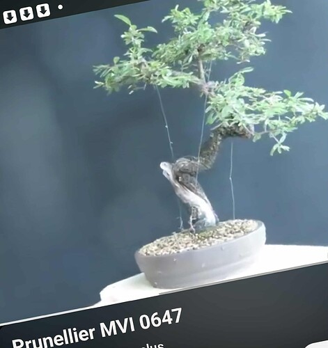 75d9dea2-d945-45c3-8a9c-fa043d124b50