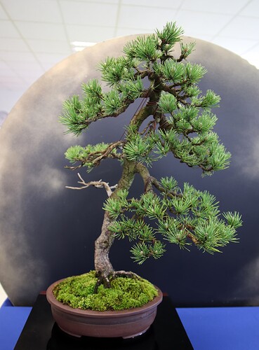 2025-05 Marcoussis (31)