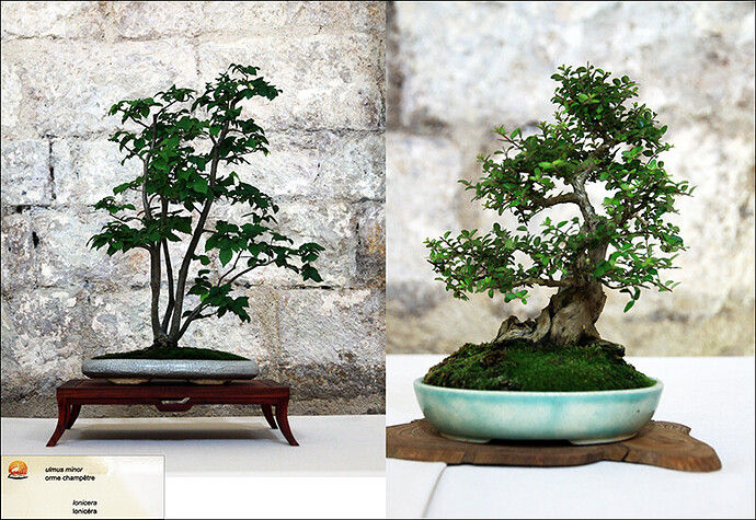 2025.05.24(montage18-20)1