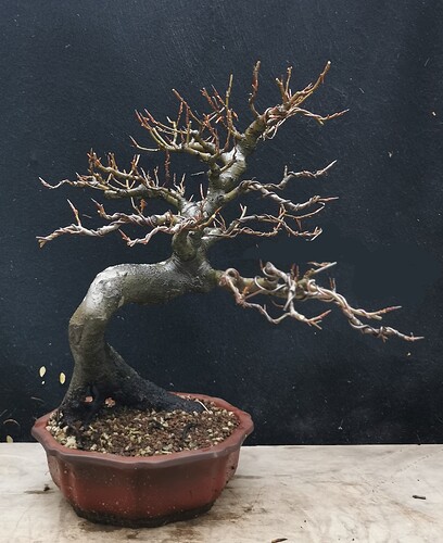 2026-01-11-16-36-44-062