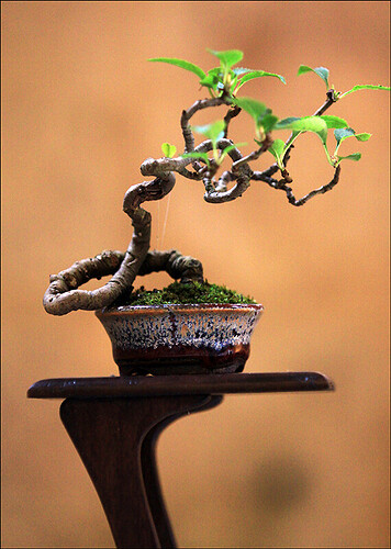 2025.05.25(24)copie1