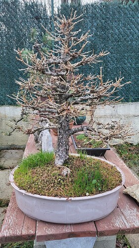 20251207_162938_resized