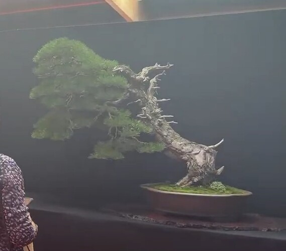 ___________DSCN01virt1-18