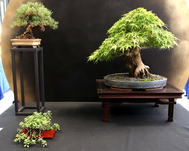 2025-05 Marcoussis (27)