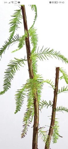 Screenshot_20251027_194043_com.android.chrome