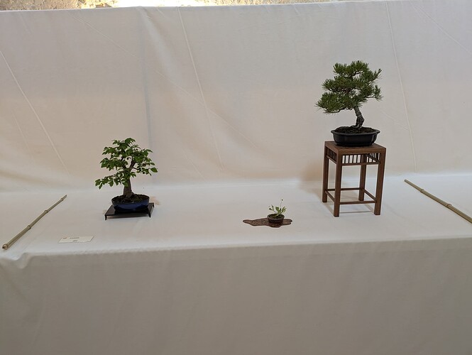 PXL_20250525_145328223