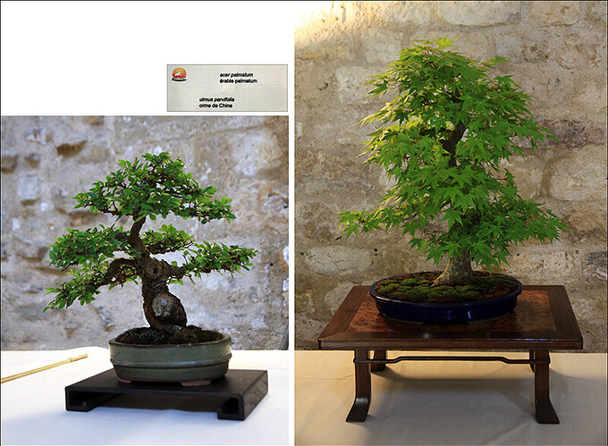 2025.05.24(montage83-85)1