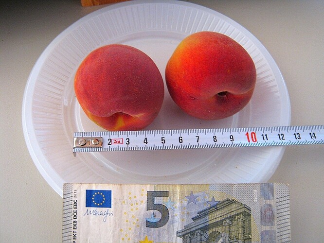 5  21