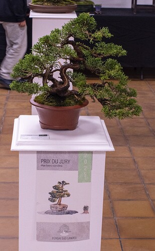 IMGP3029
