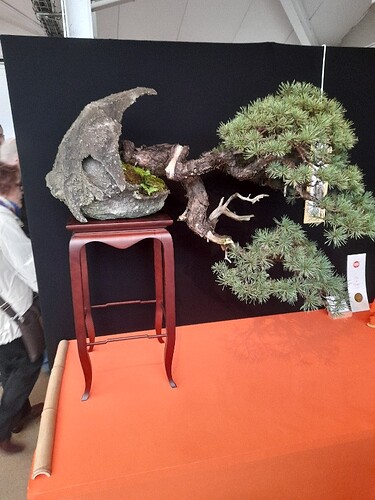 8ee59bf0-112e-49d0-8f92-60b034421e93-copied-media~2