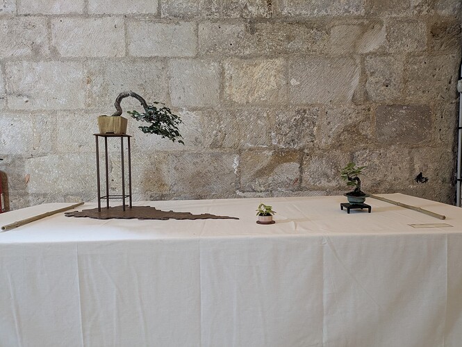 PXL_20250524_153301254