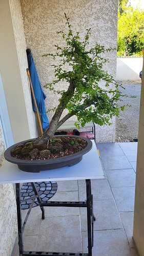 20250421_171716_resized