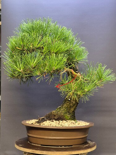 eecea6726f36e5fbdcc7de68a88c64470dec3a4f