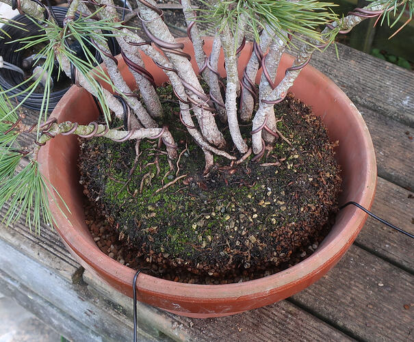 pin flexible 2026 03 04 (11)