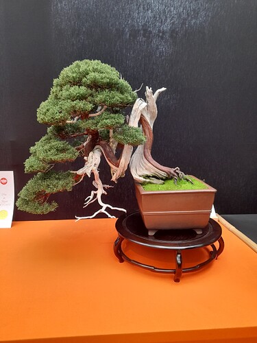 f8b0c035-79d7-4d7c-ad34-015aeafa5b46-copied-media~2